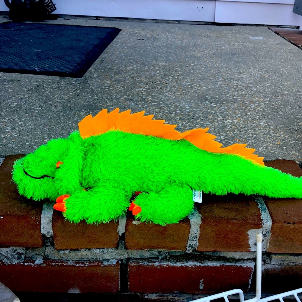 Fluffy iguana